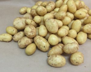 Експерт пояснила високі ціни на картоплю