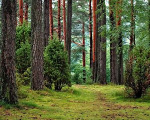 Нашли крепость древнего племени