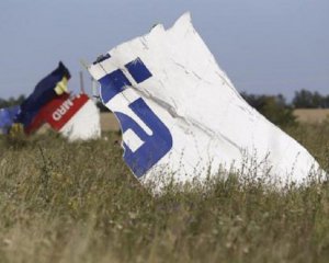 В деле о сбитом над Донбассом боинге появился свидетель