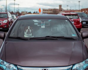 Нові правила BlaBlaCar: лише 1 пасажир, що сидить позаду