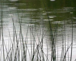 Загинула 15-річна дівчина