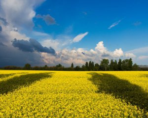 Сколько людей дома говорят на украинском