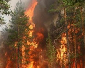 Оголошено надзвичайний рівень пожежної небезпеки