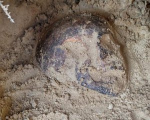 В Україні знайшли поховання часів Римської імперії
