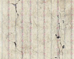 На Буковині зафіксували землетрус