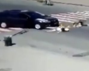 Під Києвом водій на переході збив жінку з дитиною на руках: показали відео