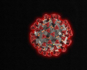 Показник захворюваності коронавірусом досягнув ліміту
