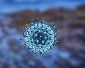 Ученые заявили о новой опасности коронавируса в случае мутации