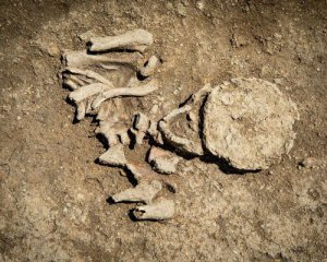 На кладбище выкопали свинцовый саркофаг, которому более 1,5 тыс. лет