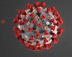 Сотни ученых призвали ВОЗ пересмотреть рекомендации по коронавирусу