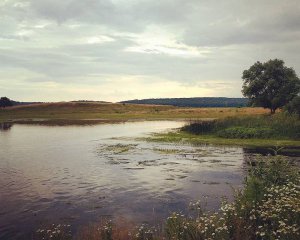 У день Горпини Купальниці не можна сумувати та стригти волосся