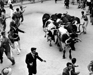 Щороку гине до 15 людей - почався фестиваль під час якого люди бігають наввипередки з биками