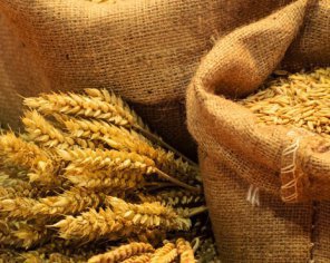 Украина продала рекордный объем зерновых