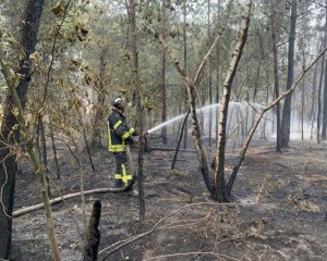 Зеленский позволил тушить огонь на Луганщине авиацией
