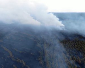 Угрожающие масштабы лесного пожара на Луганщине показали с высоты птичьего полета