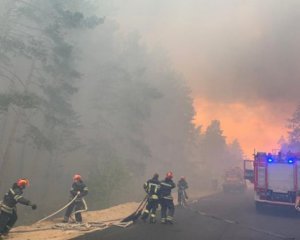 Лесной пожар в Луганской области локализовали