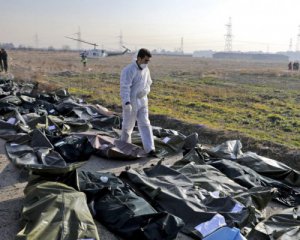 Иран назвал новую причину катастрофы самолета МАУ