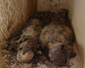 Нашли мумии людей, связанных с Клеопатрой