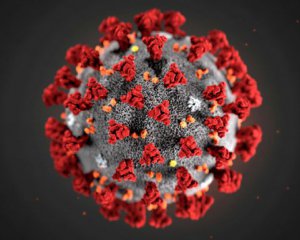 На коронавирус в сутки заболели более 234 тысяч