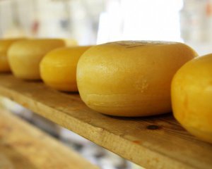 Покупаем больше, чем продаем: импорт сыра увеличился втрое