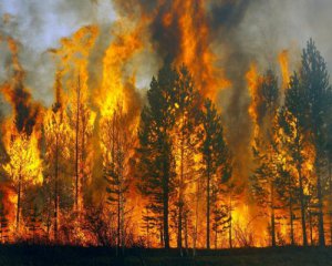 В яких українських областях підвищений рівень пожежної небезпеки