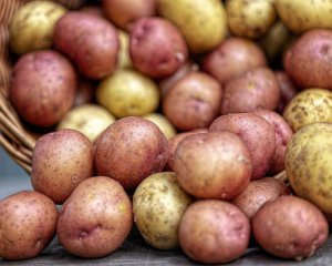 Експерти пояснили, чому різко подешевшала картопля