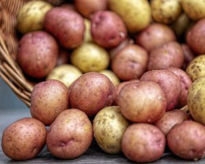 Сколько картофеля выращивают украинцы