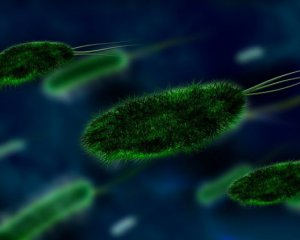 За яких умов коронавірус поширюється повільніше