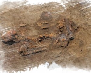 Раскопали курган предков киммерийцев