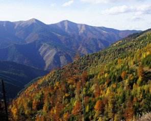 Відомий київський нейрохірург загинув у Карпатах