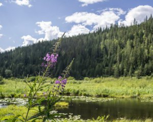 В Украину возвращается жара, но некоторые регионы черкнет дождями - синоптик