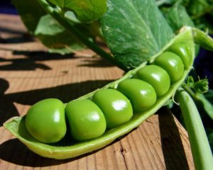 Назвали вкусные продукты от похмелья