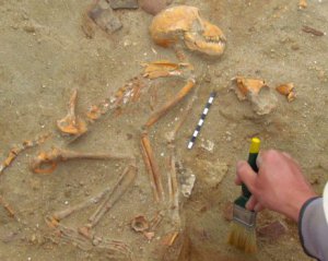 Обезьяны, кошки и собаки - обнаружили кладбище домашних животных, которому 2 тыс. лет