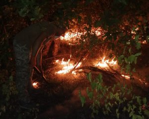 Допомагав гасити пожежу на Луганщині: зник український військовий
