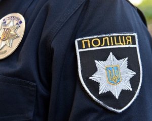 П&#039;яна жінка з кульковою ручкою напала на поліцейських