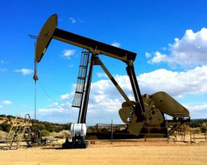 Поляки шукатимуть газ в Україні