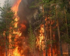 В Украине объявили высокий уровень пожарной опасности