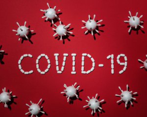 Пандемия в мире: Covid-19 инфицированы более 30 млн человек