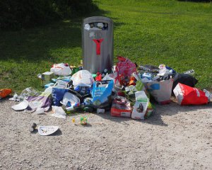 Людям присылают домой мусор, который они оставили в парке