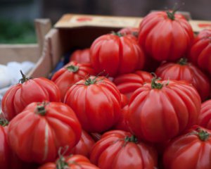 Чому помідори стають м&#039;якими та втрачають смак