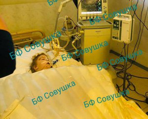 2-річного хлопчика в день народження ледь не загризли домашні вівчарки