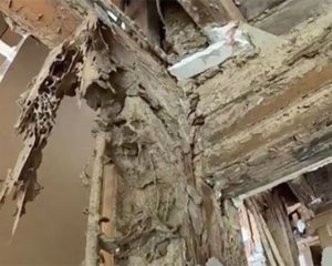 Настоящий фильм ужасов: термиты съели роскошный дом за полмиллиона долларов
