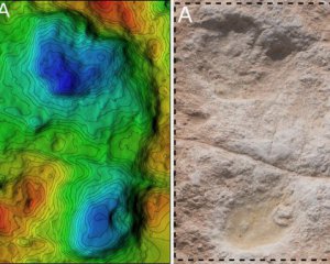 В пустыне обнаружили следы человека, которым 120 тыс. лет