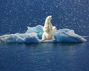 Лед в Арктике летом может исчезнуть - ученые