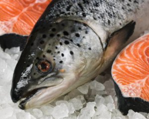 Китай призупинив імпорт риби норвезької Havfisk після виявлення коронавірусу