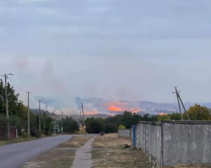 В Краматорске вспыхнул масштабный лесной пожар