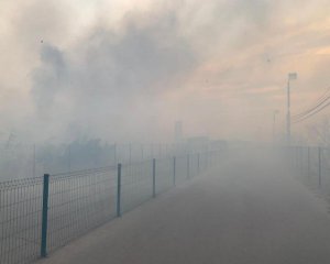 Лесные пожары на Луганщине добрались до единого пункта пропуска: его работу прекратили