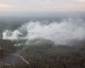 Побільшало загиблих від лісових пожеж на Луганщині