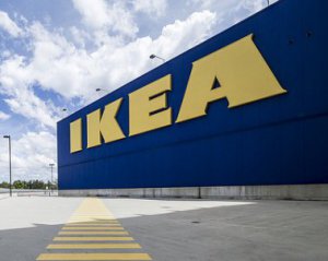 Незаконна українська деревина для IKEA: компанія оголосила результати розслідування