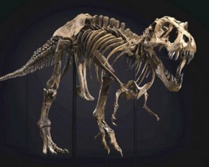 Останки тиранозавра продали за рекордную сумму